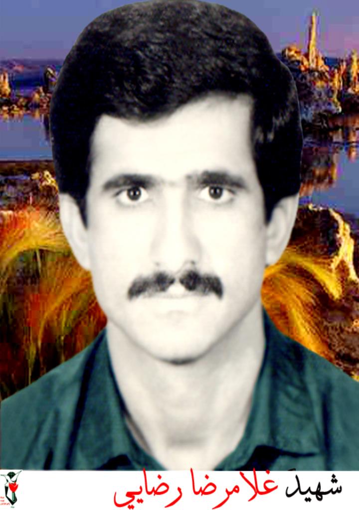 فاقد تصویر